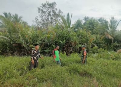 TNI Sigap! Babinsa & Masyarakat Desa Tanjung Cegah Karhutla