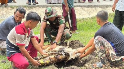 Yonif TP 851/BBC Turun Langsung, Qurban Tiga Hewan di Merempan Hilir